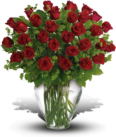 My Perfect Love - Long Stemmed Red Roses